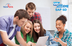 Online SAP SD Training