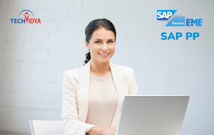 sap pp training